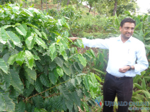 Coffee, Dhading 3